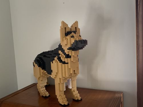 German Shepherd