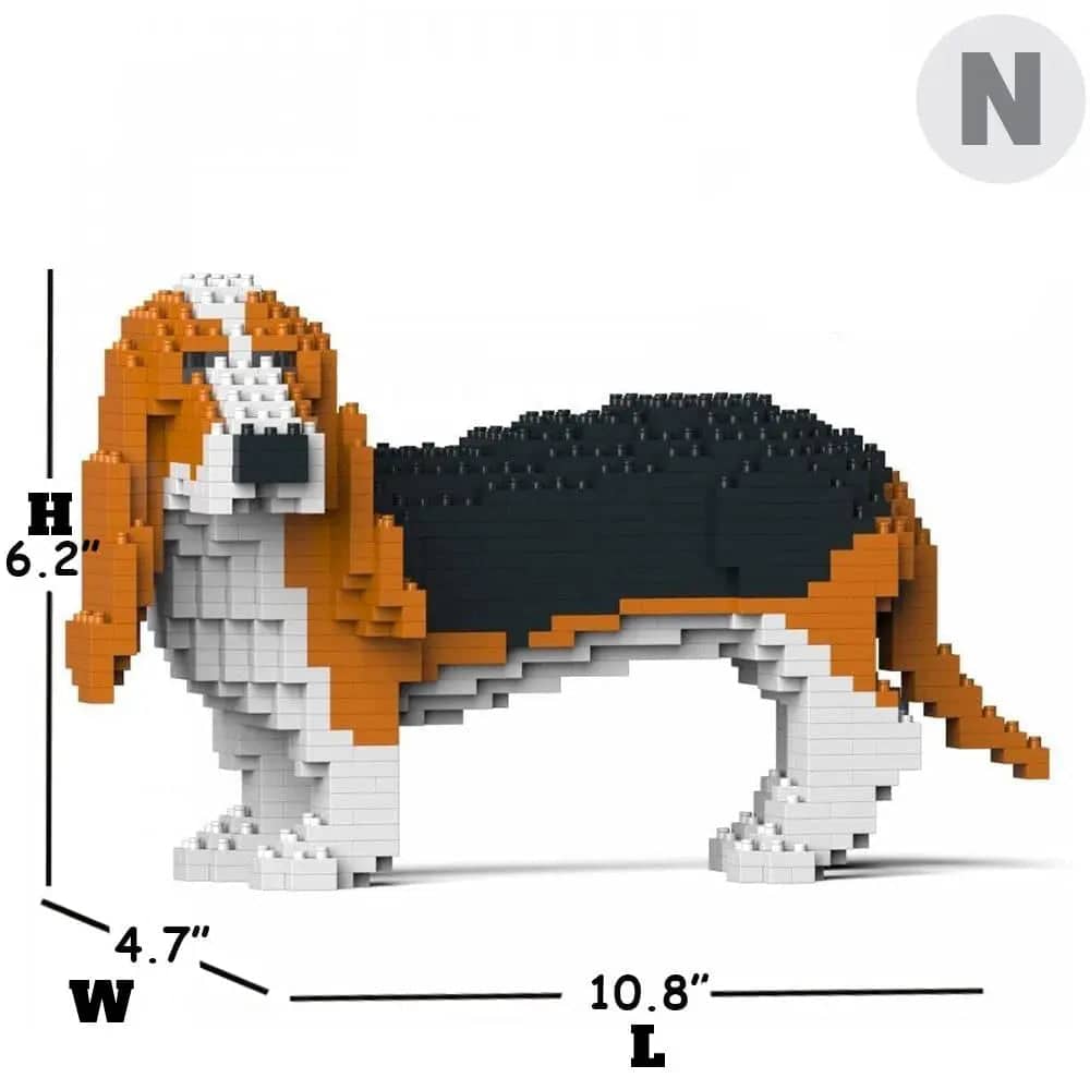 Basset Hound