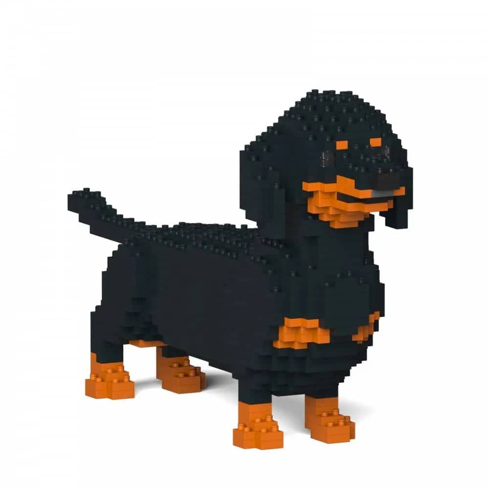 Dachshund