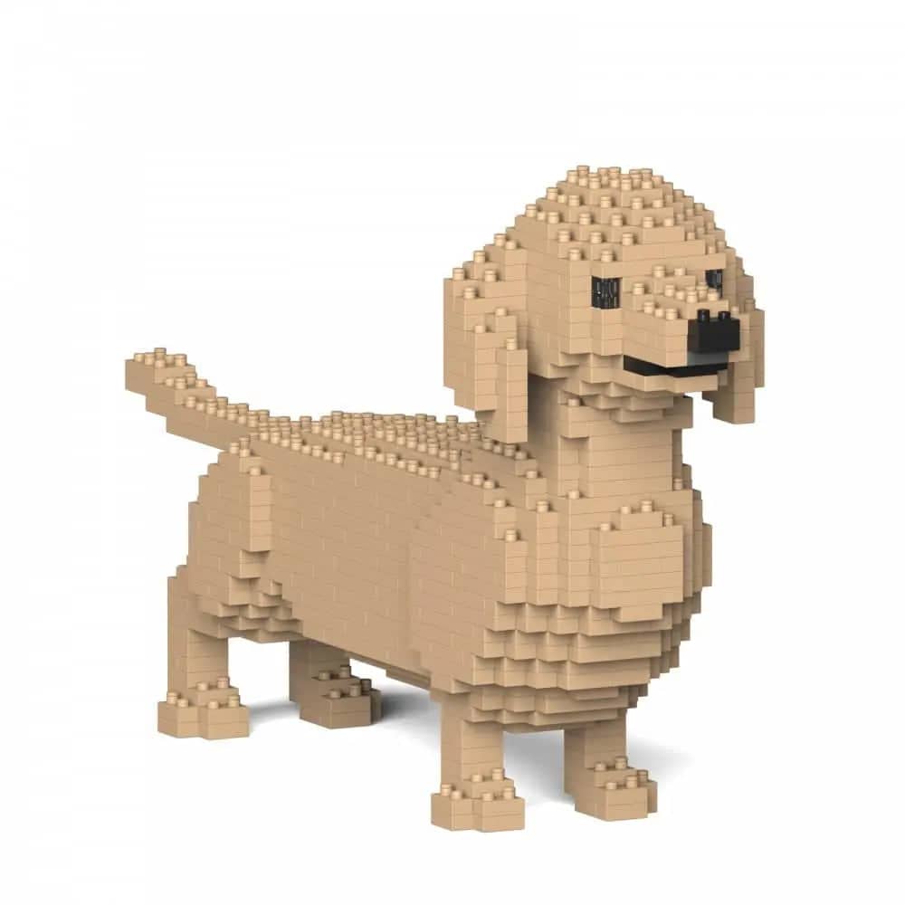 Dachshund