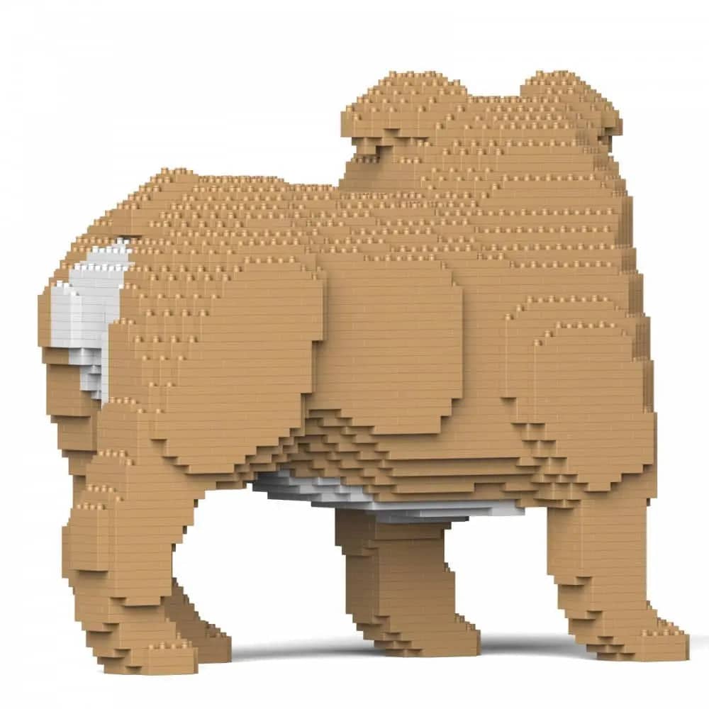 English Bulldog