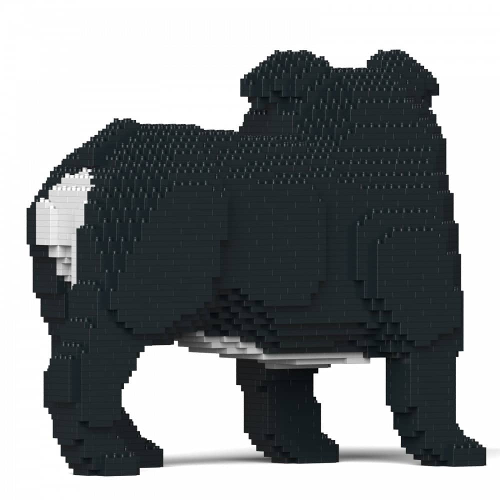 English Bulldog