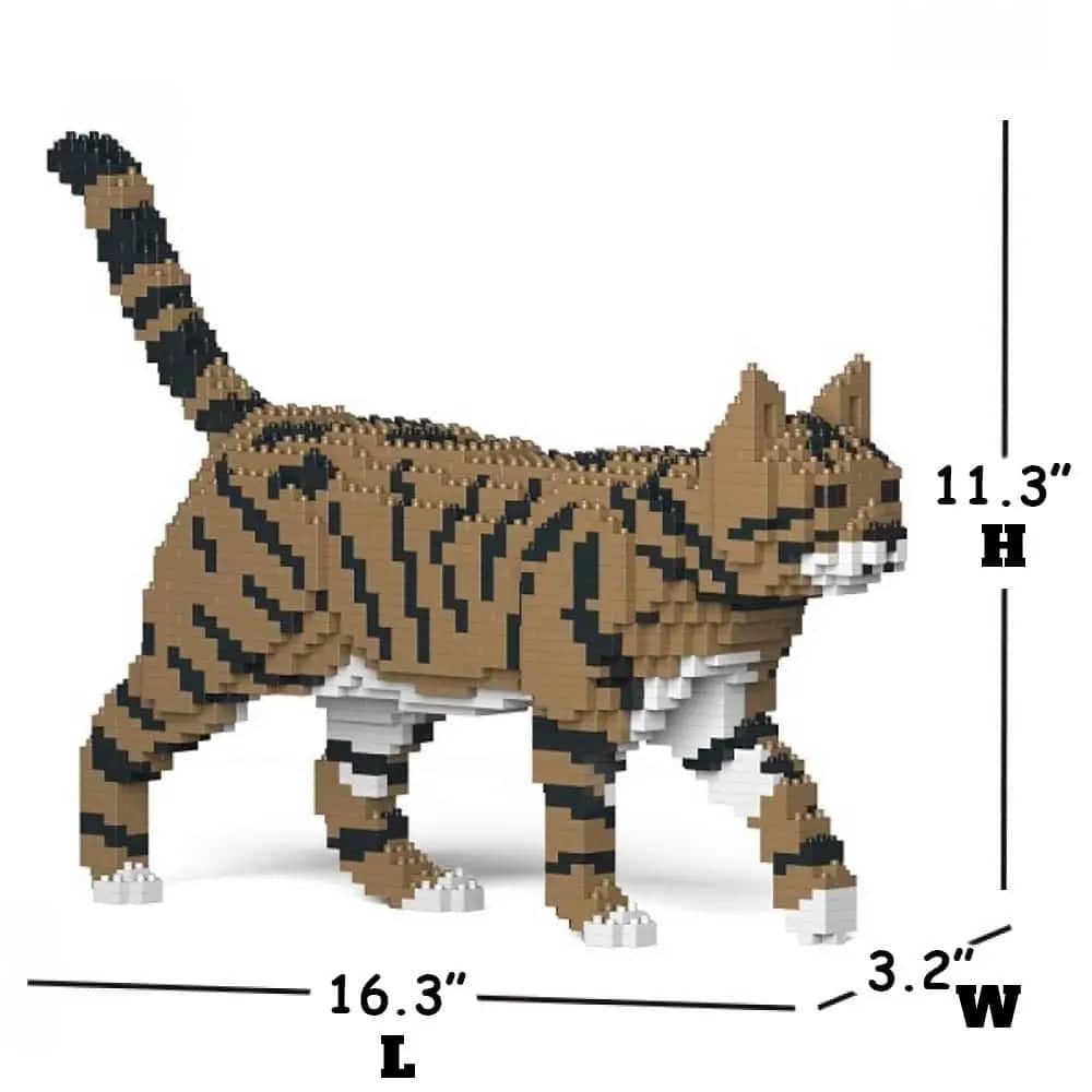 Tabby Cat