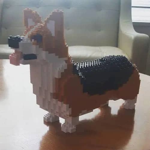 Welsh Corgi