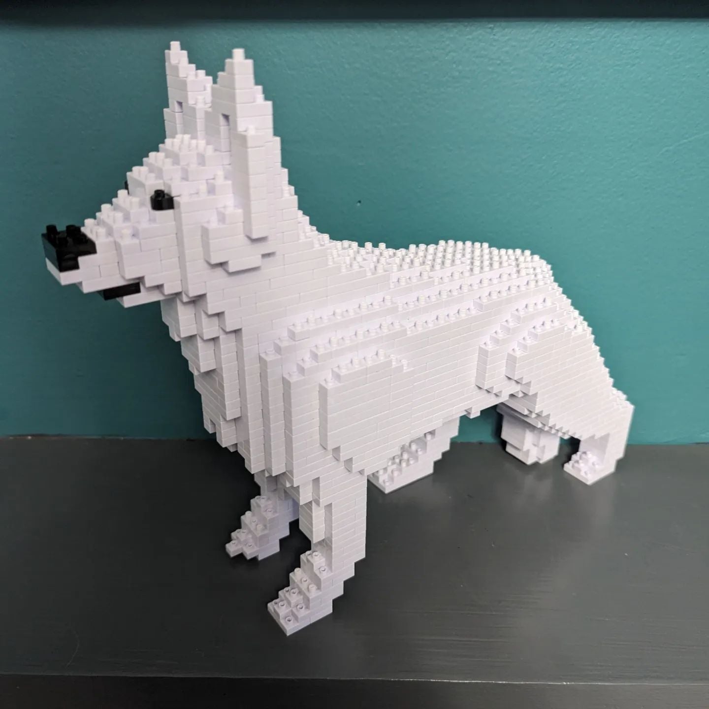 German Shepherd