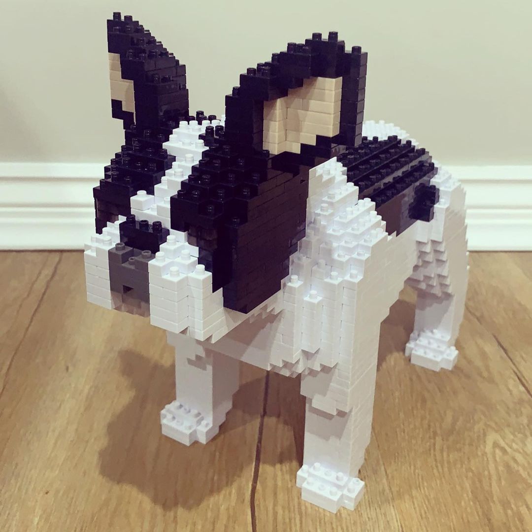 French Bulldog