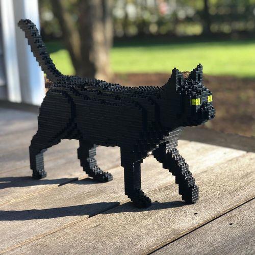 Black Cat