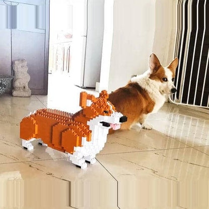 Welsh Corgi