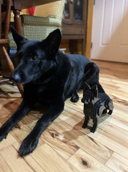 German Shepherd