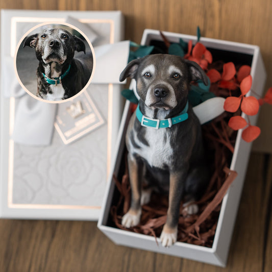 Personalized pet figurines
