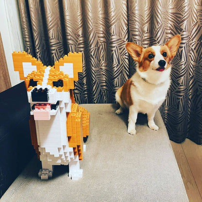 Welsh Corgi