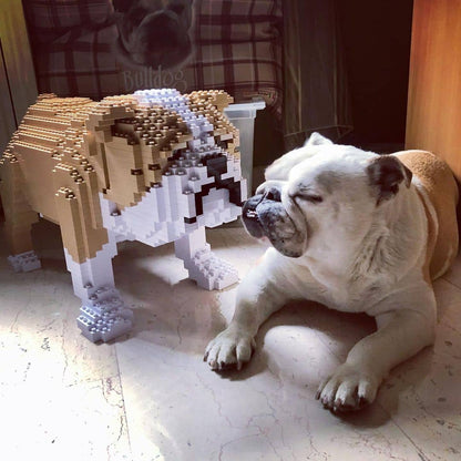 English Bulldog