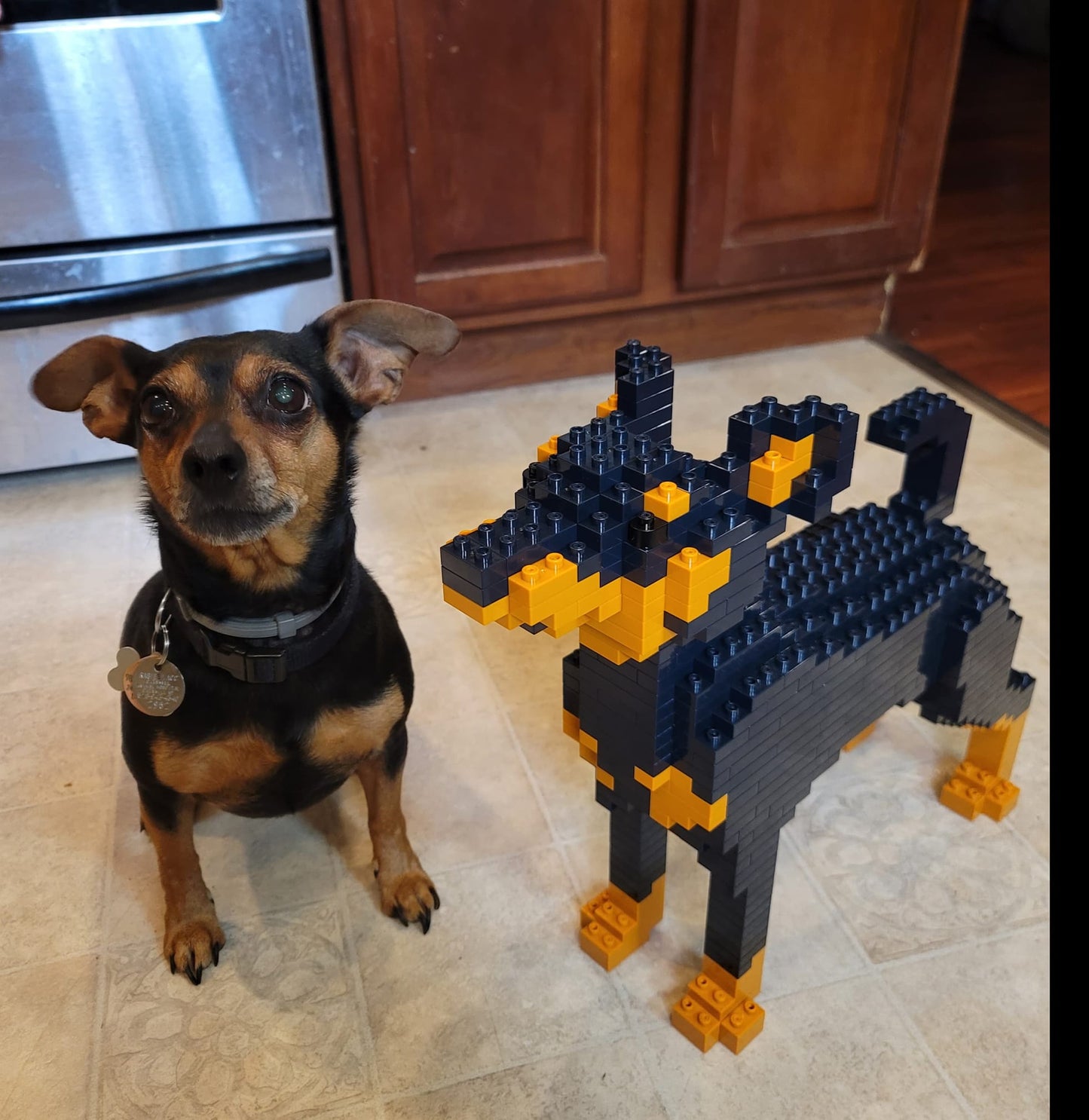 Miniature Pinscher