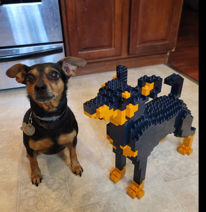 Miniature Pinscher