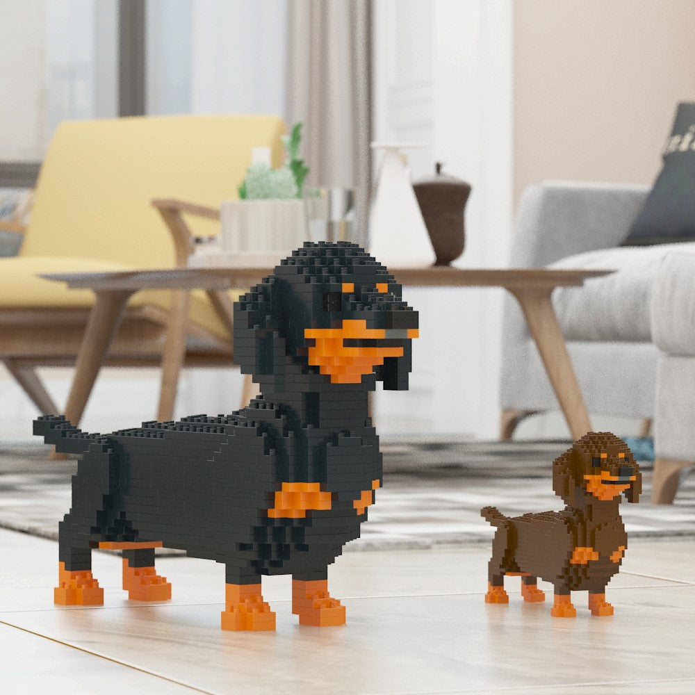 Dachshund