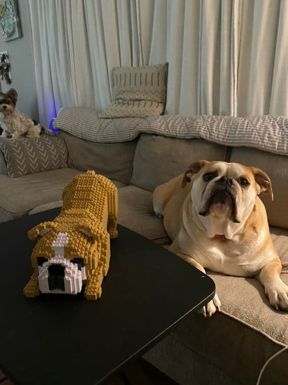 English Bulldog