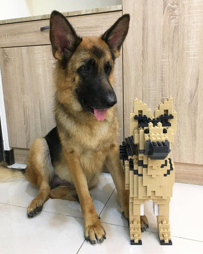 German Shepherd
