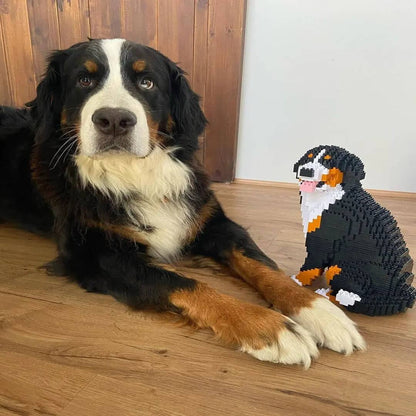 Bernese Mountain Dog