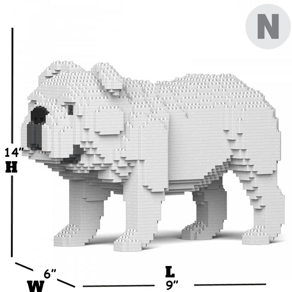 English Bulldog
