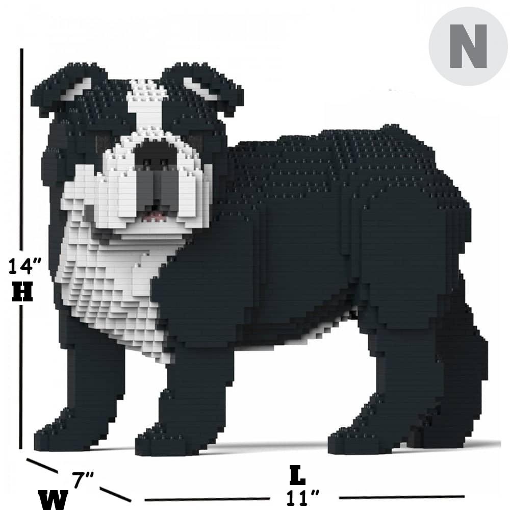 English Bulldog