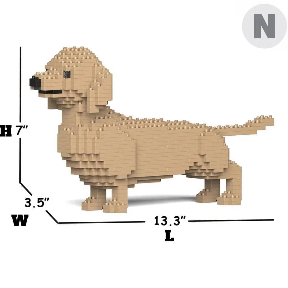 Dachshund