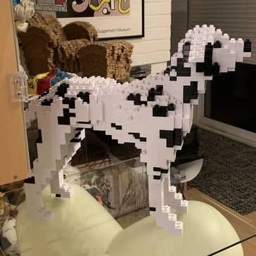 Dalmatian