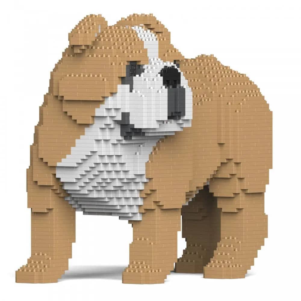 English Bulldog