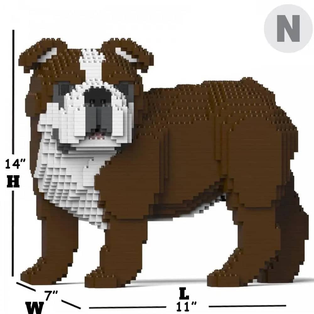 English Bulldog