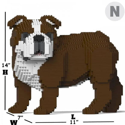 English Bulldog