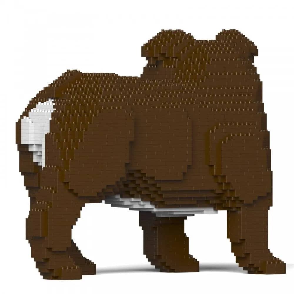 English Bulldog