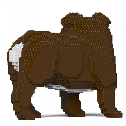 English Bulldog