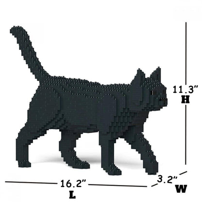 Black Cat