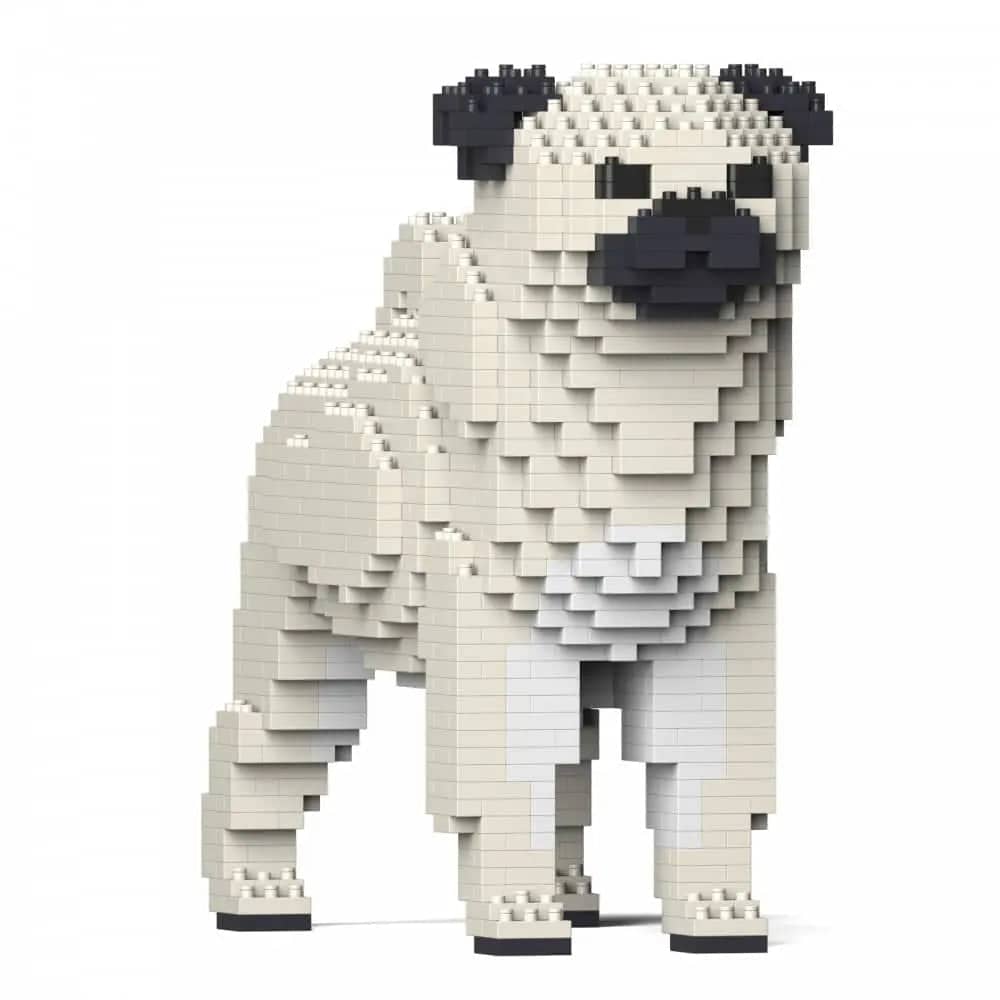 Pug