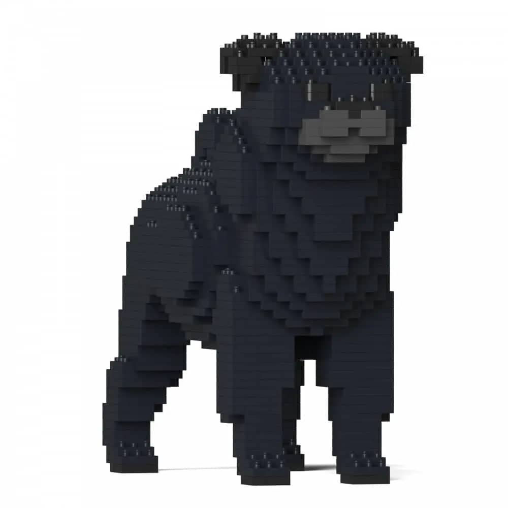 Pug
