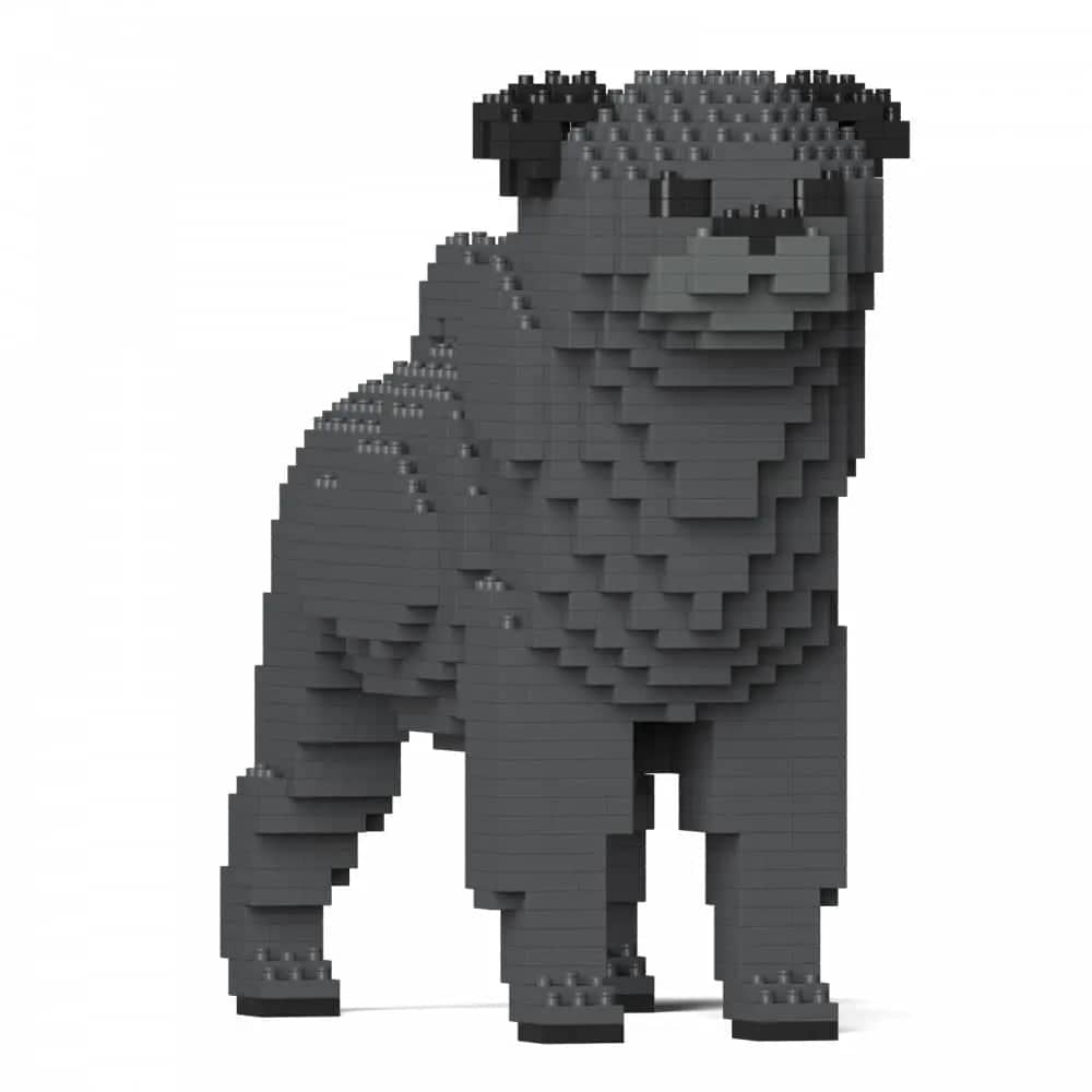 Pug
