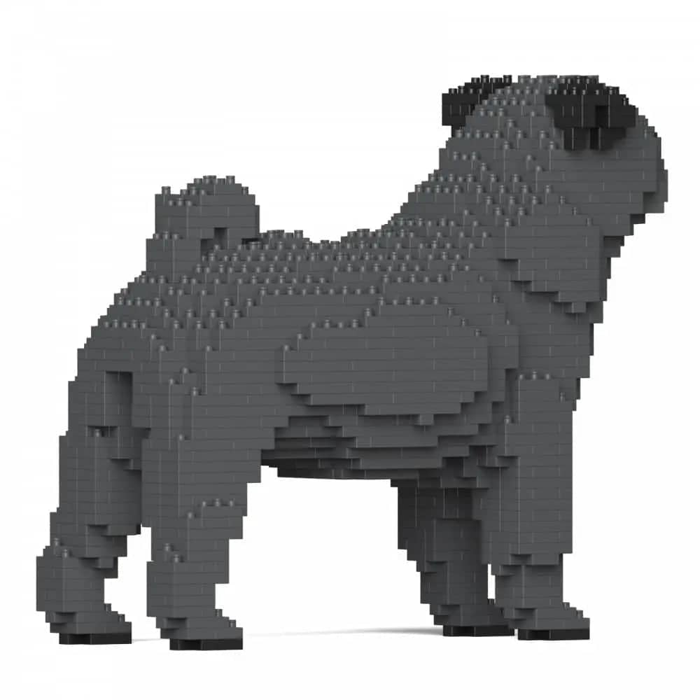 Pug