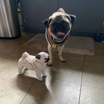 Pug