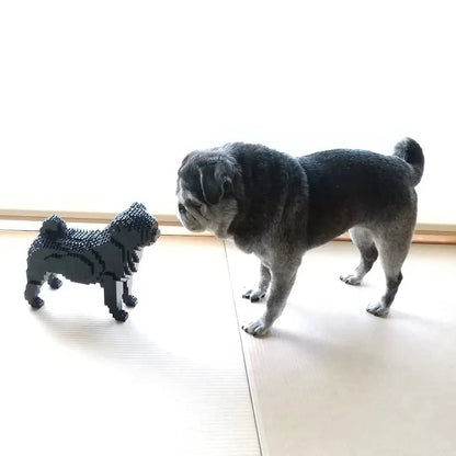Pug