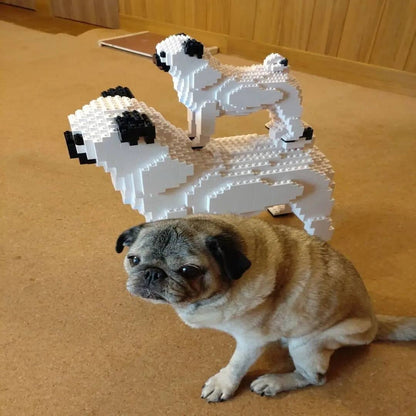 Pug