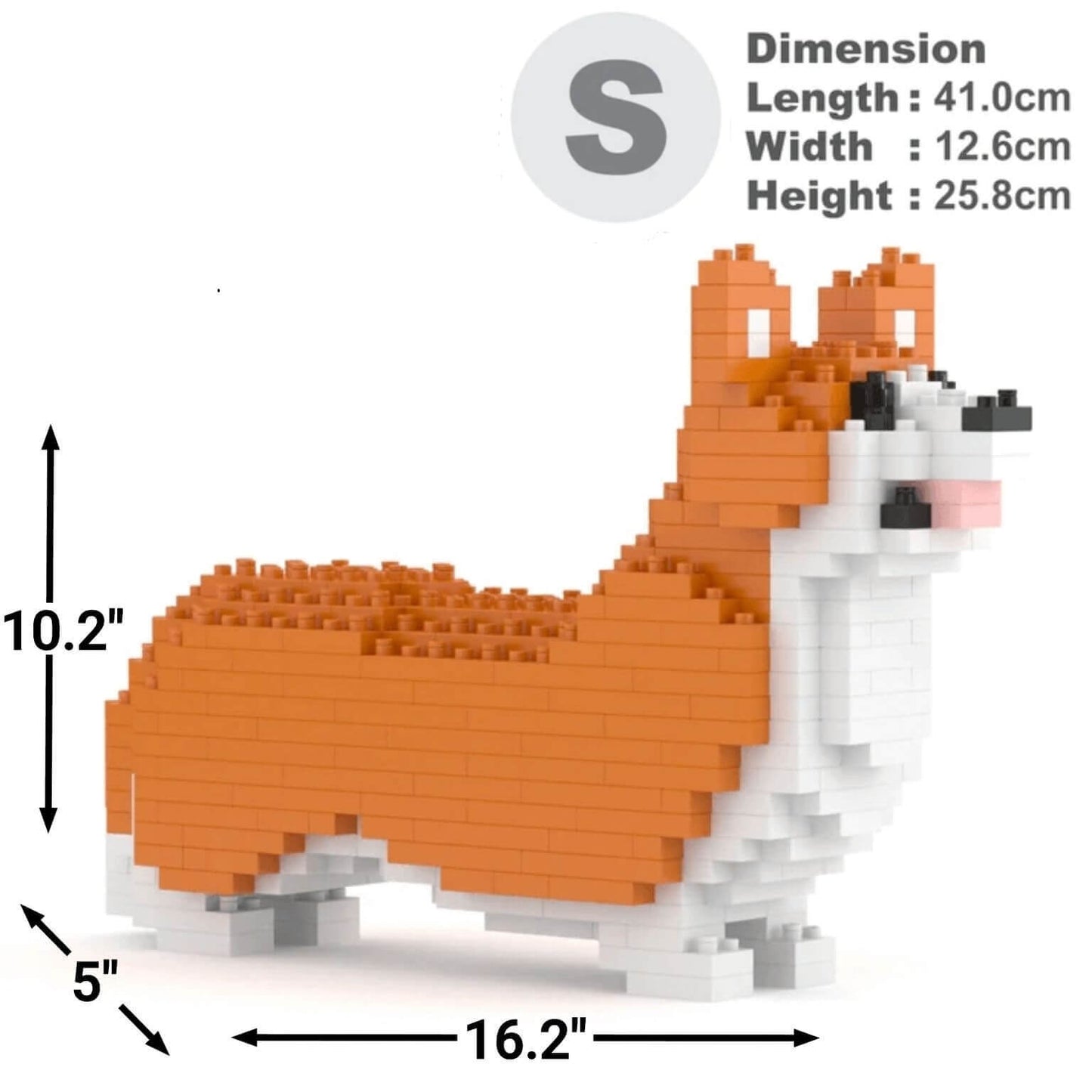 Welsh Corgi