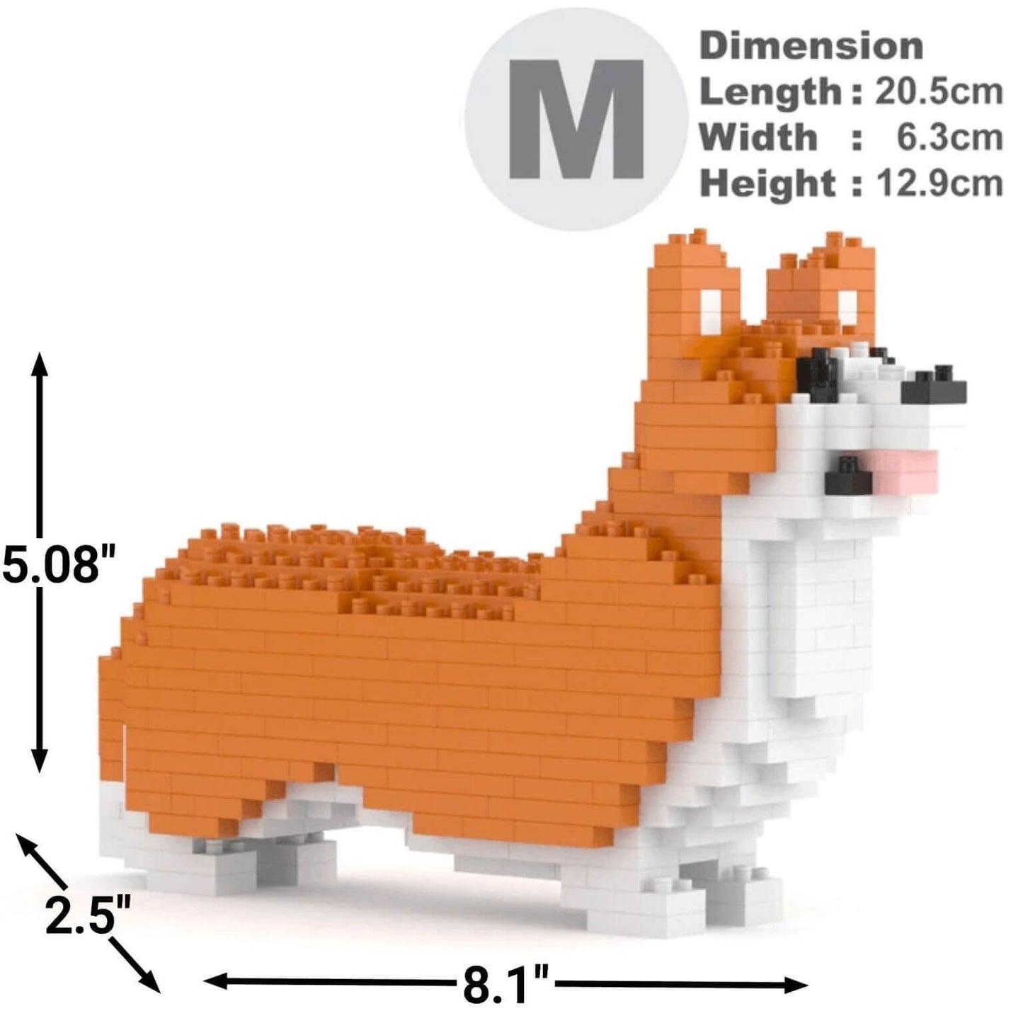 Welsh Corgi