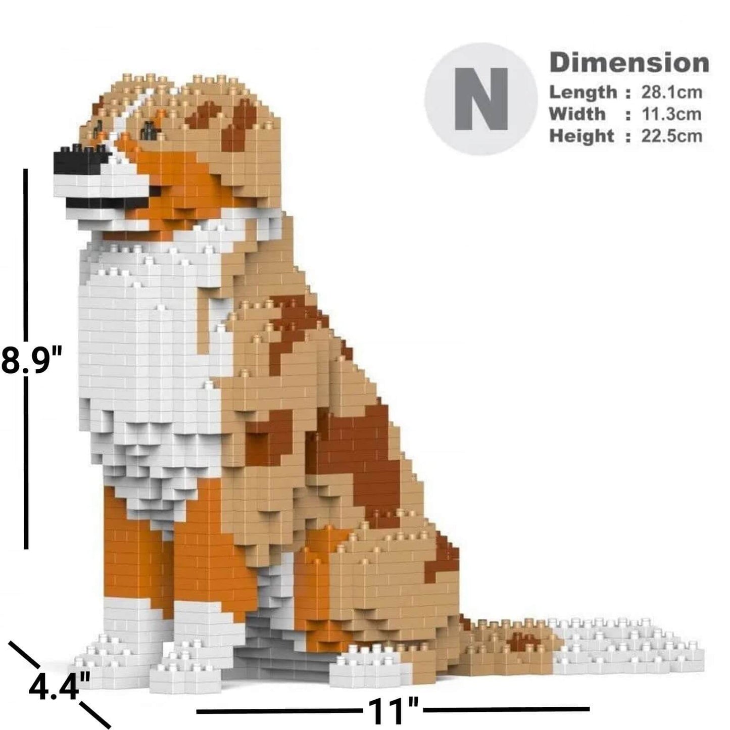 Australian Shepherd