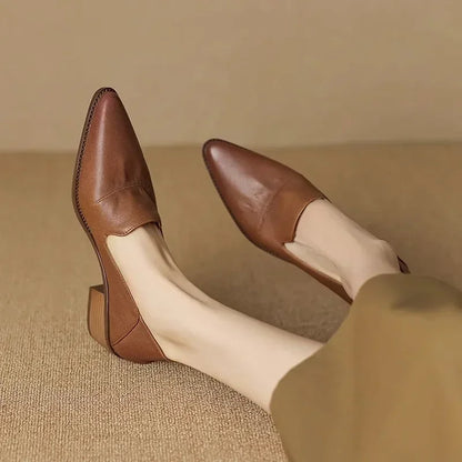 Pointed Toe Retro Shoes