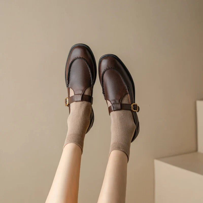 Low Heel Retro Brown Shoes
