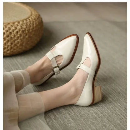 Pointed Toe Solid Heels Shoes