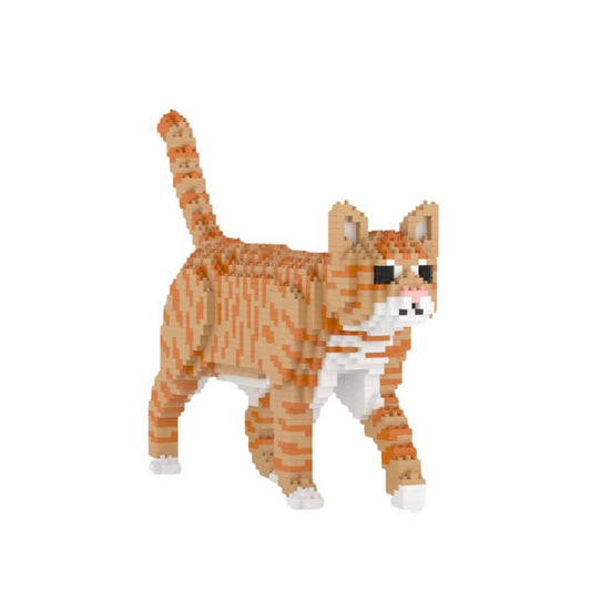 Tabby Cat