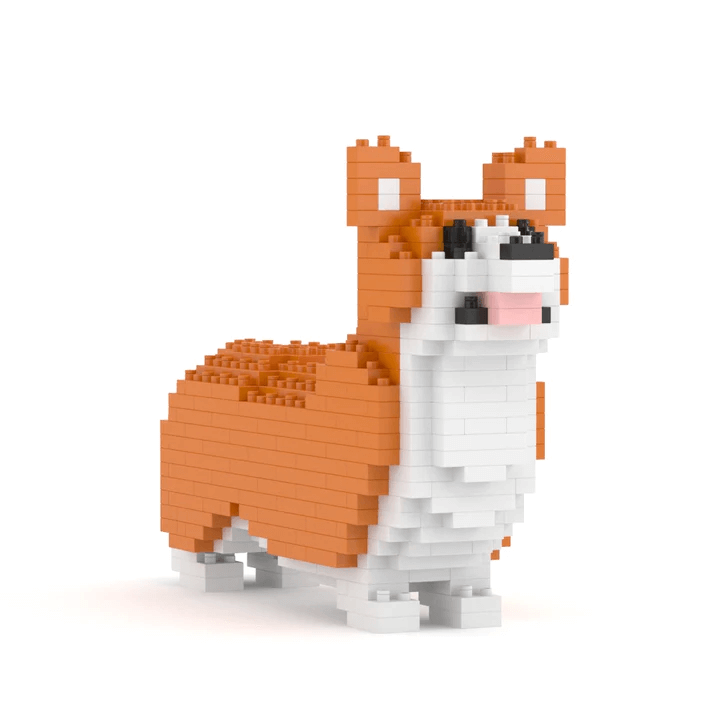Welsh Corgi