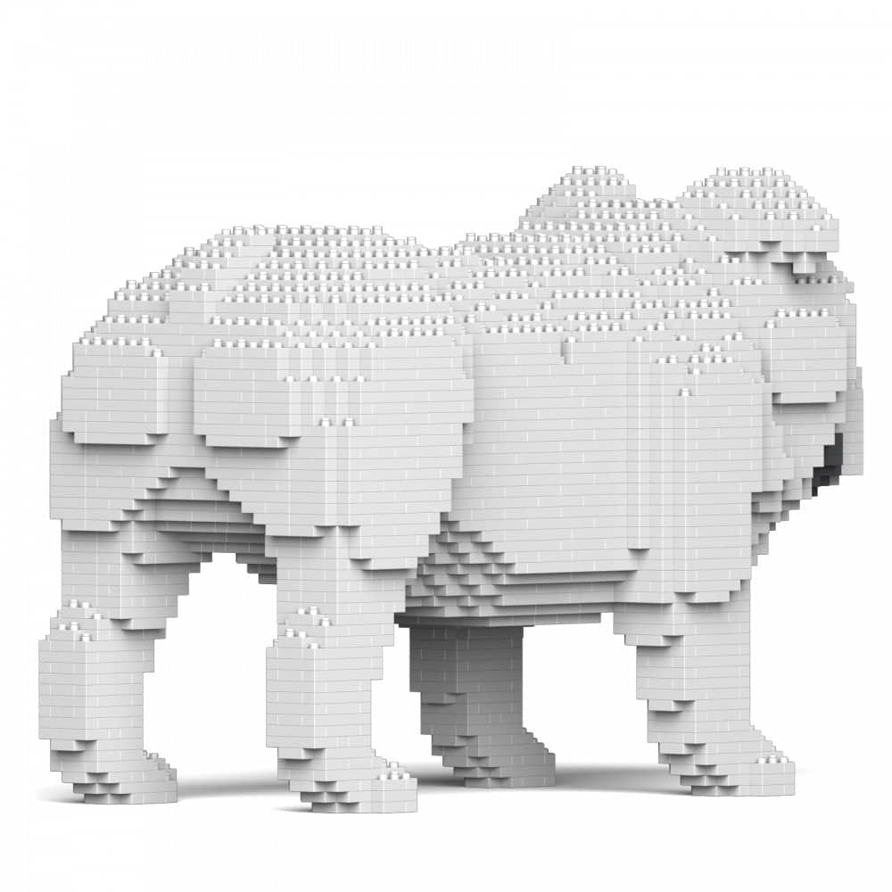 English Bulldog