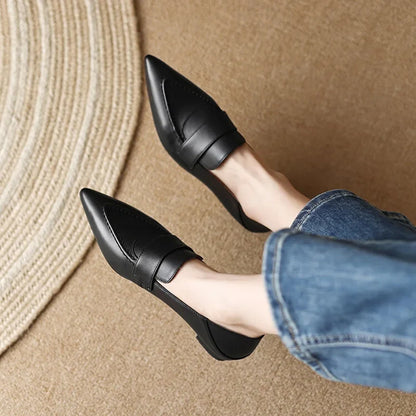 Pointed Toe Low heel Shoes