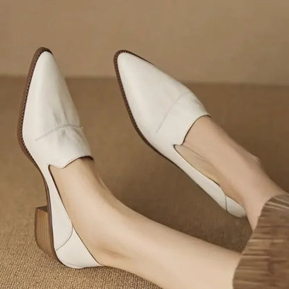 Pointed Toe Retro Shoes